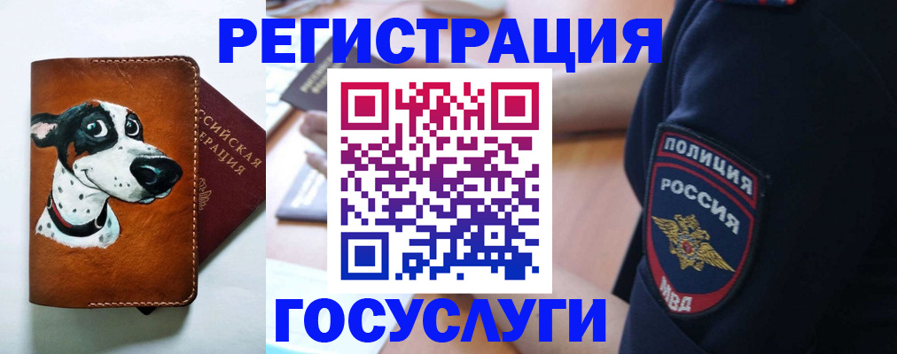 временная регистрация в квартире в Хабаровске